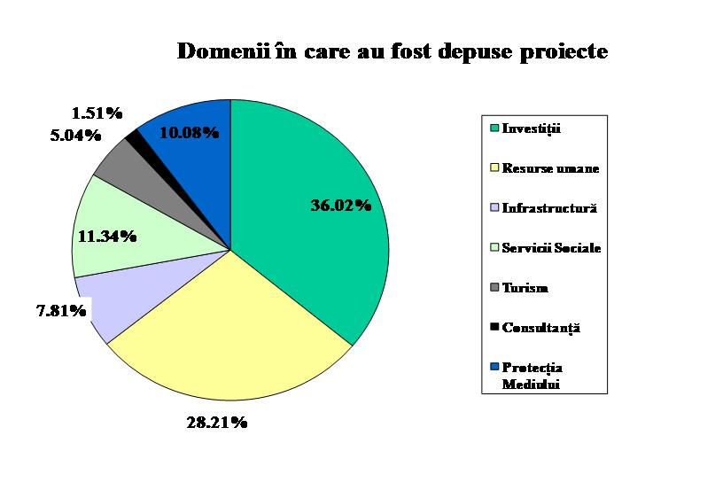 domeniiincareauf-1313685916.jpg