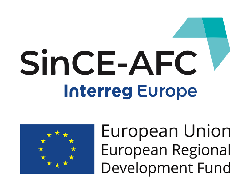 ADR Sud Muntenia a organizat cea de-a cincea întâlnire a stakeholderilor proiectului SinCE-AFC